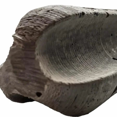 BULLET PASTE SWIVEL