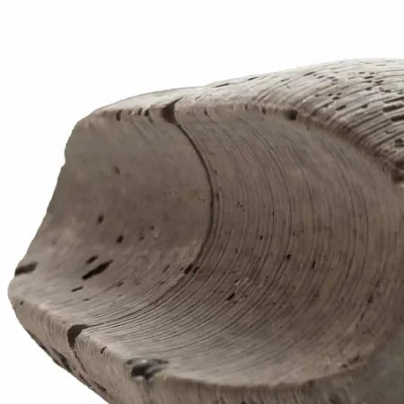 BULLET PASTE SWIVEL