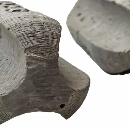 BULLET PASTE SWIVEL